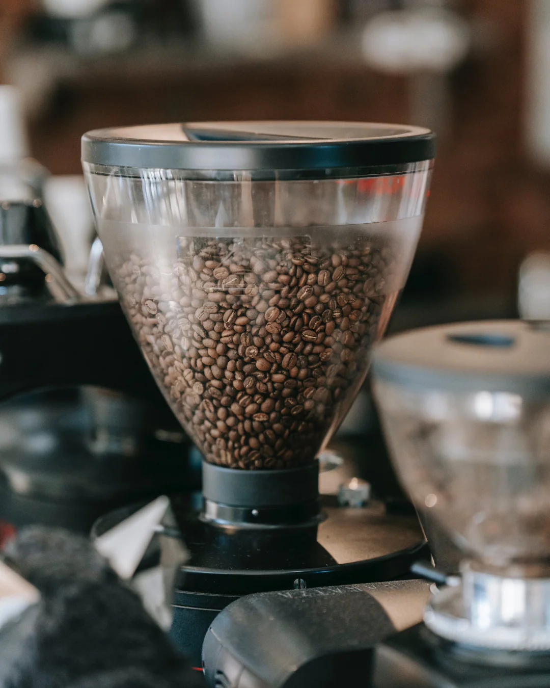 Buy Coffee Grinder Costco: The Ultimate Insider’s Guide